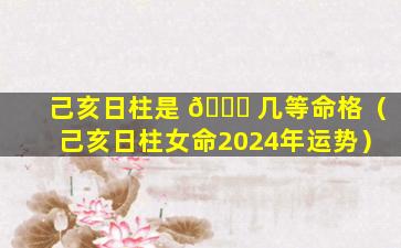己亥日柱是 🐋 几等命格（己亥日柱女命2024年运势）